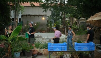 CYPRUS – A shared garden to empower local communities in Nicosia